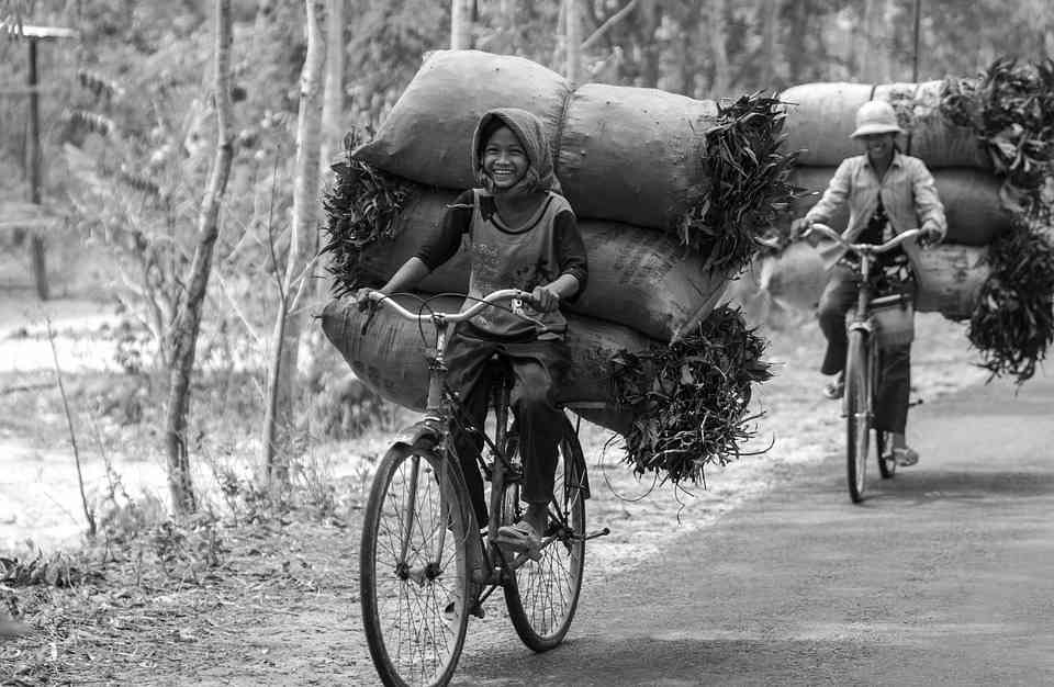 Surat untuk Kampung Halaman | pixabay.com/Quangbaophoto