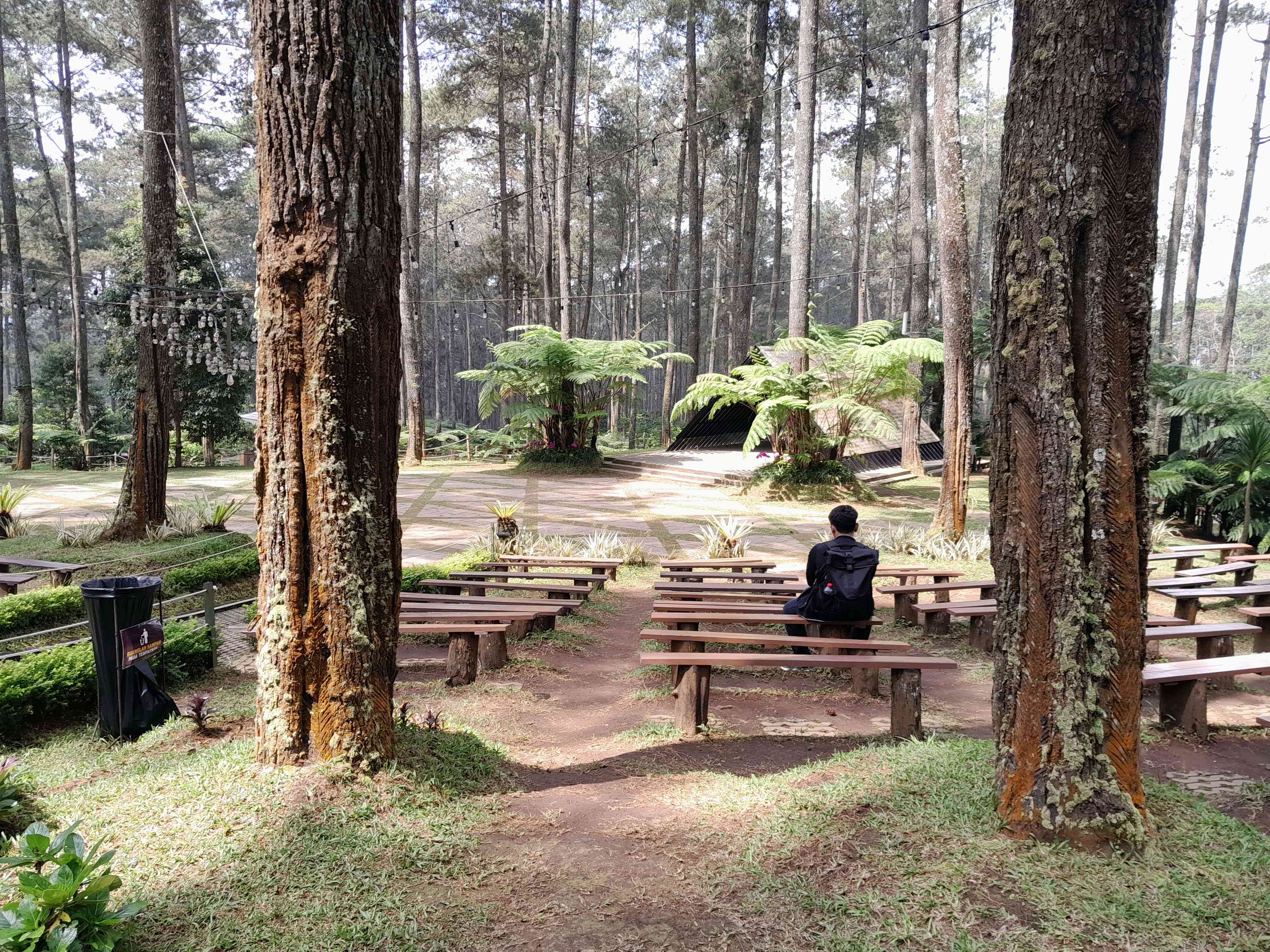 Orchid Forest Cikole (Dok. Pribadi)