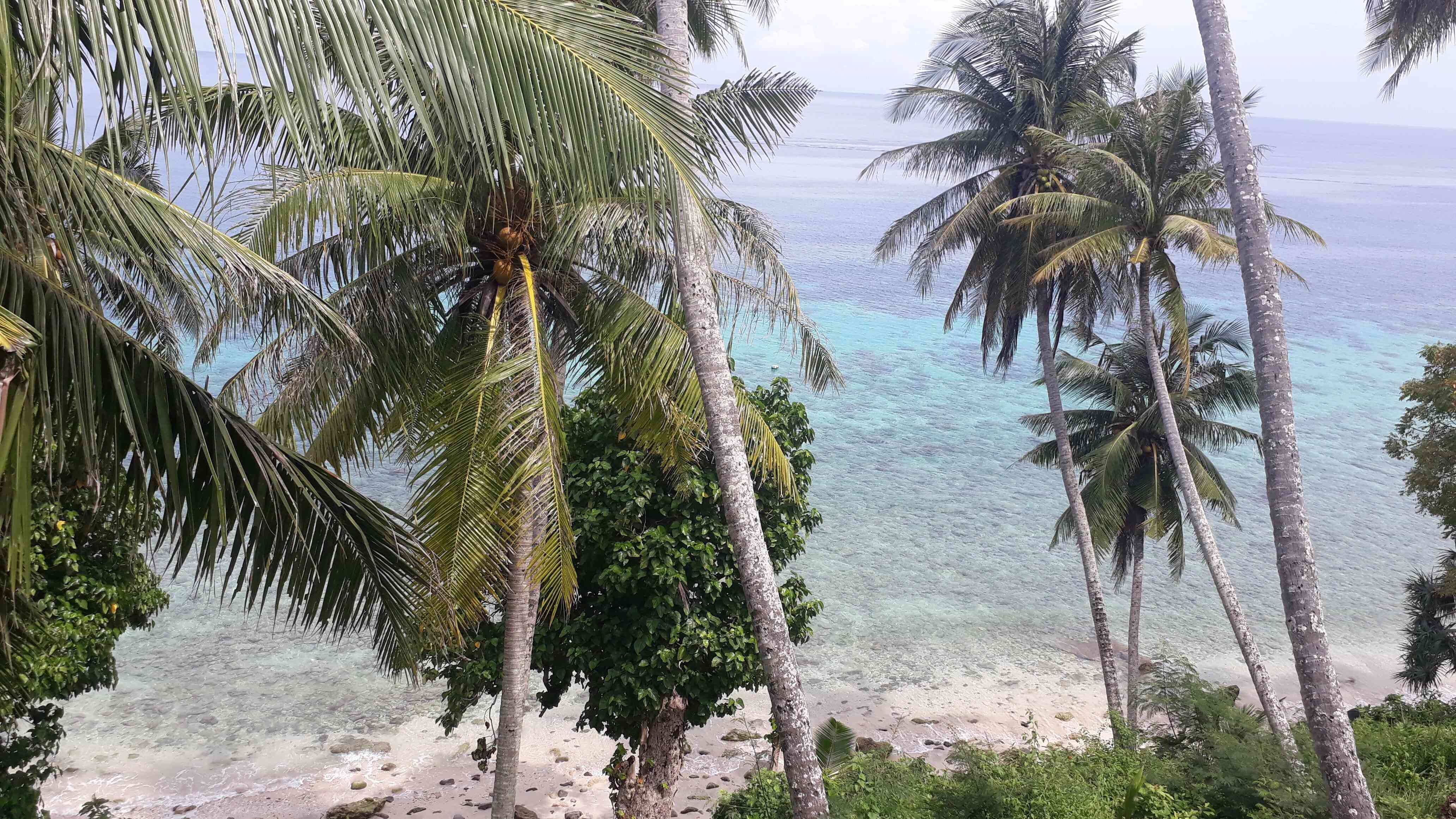 Pemandangan laut dari atas warung kopi Cut Nan, [Dokpri]