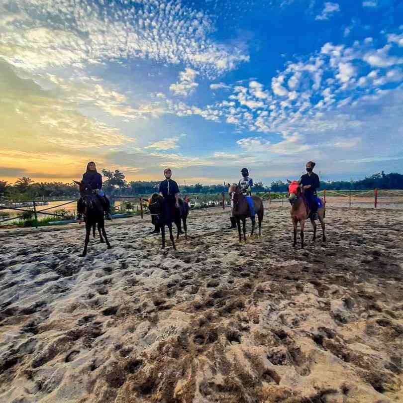 Pengunjung dapat menunggangi kuda (Foto instagram.com/prima_stable) 