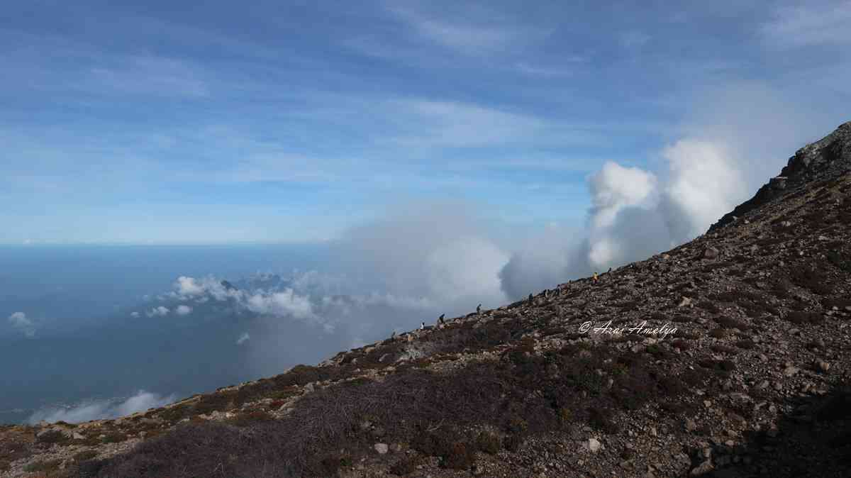 Para pendaki menuju puncak Welirang foto: Arai Amelya