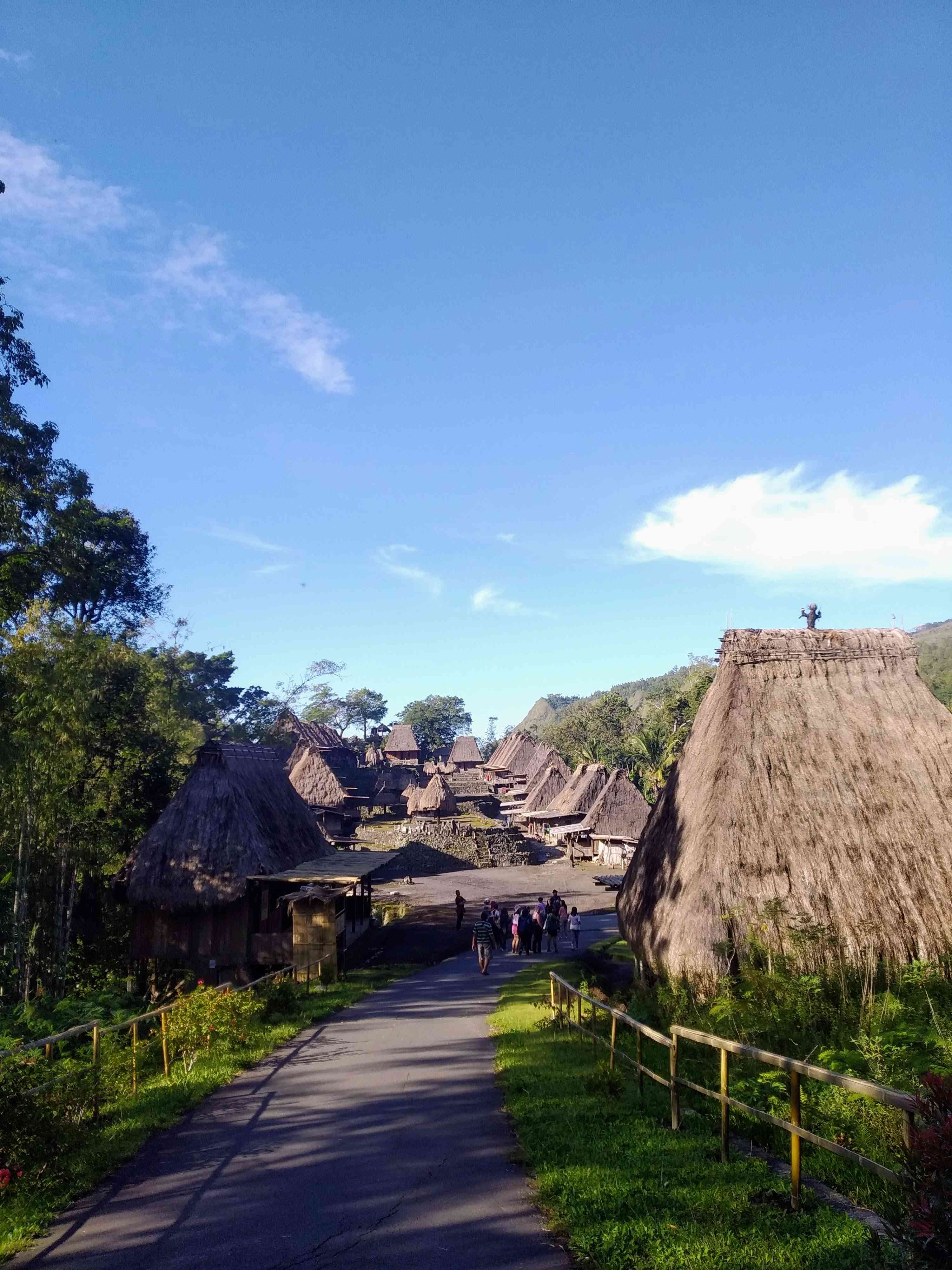 Kampung Adat Bena (Dok. Pribadi) 