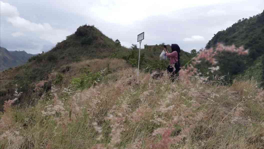 Pemandangan alam berupa bukit di Bukit Impian - Bukit Pencu, Tulungagung. Foto: dokumen pribadi.