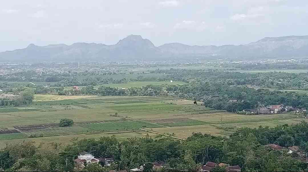 Pemandang alam berupa persawahan dan rumah warga dari Bukit Pencu. Foto: pribadi.