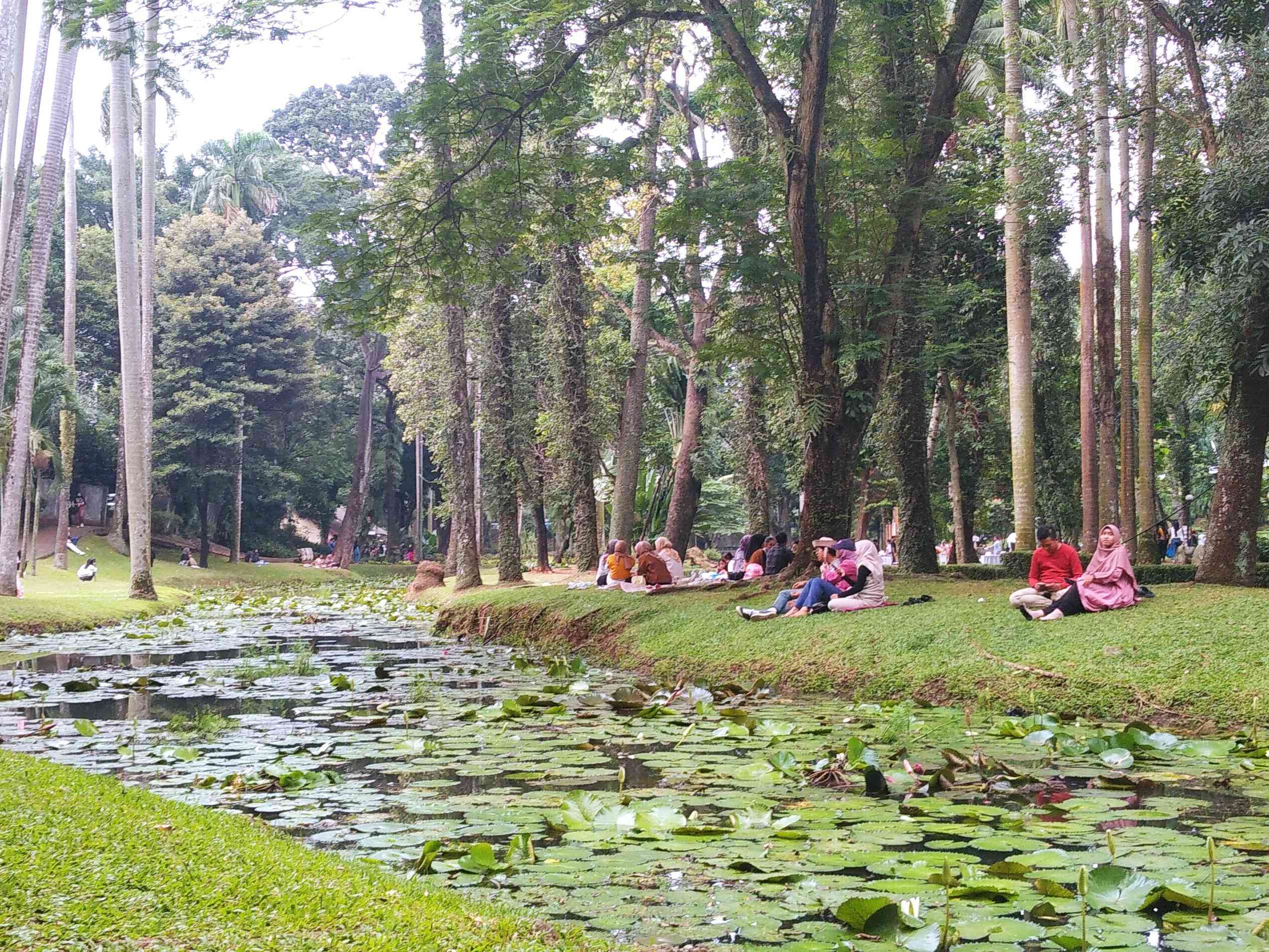 Menikmati taman langsatr yang hijau (dok.windhu)