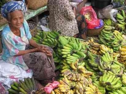 Ilustrasi seorang nenek yang berjualan pisang.| Sumber: blog.baliwww.com