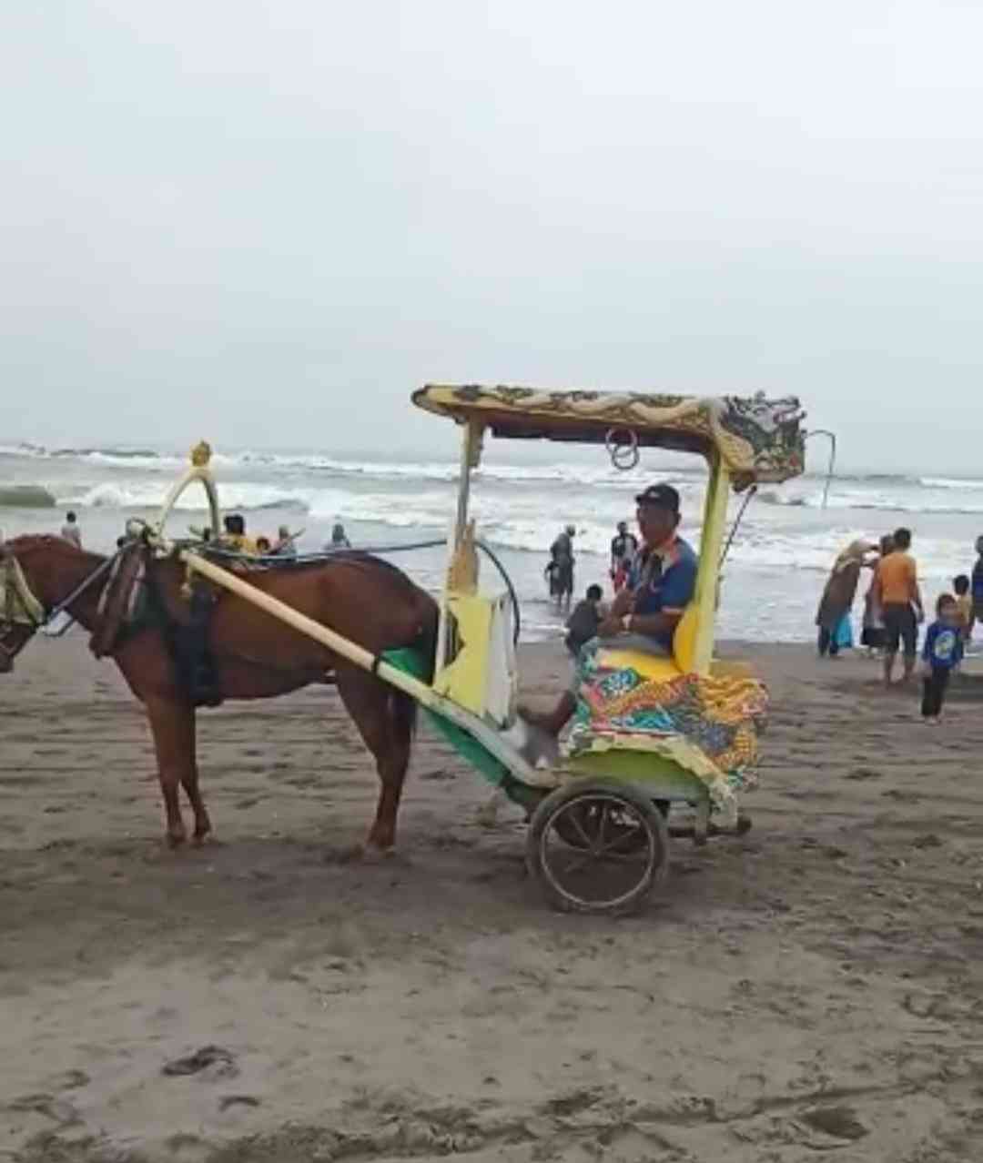 Foto delman di Pantai Parangtitis