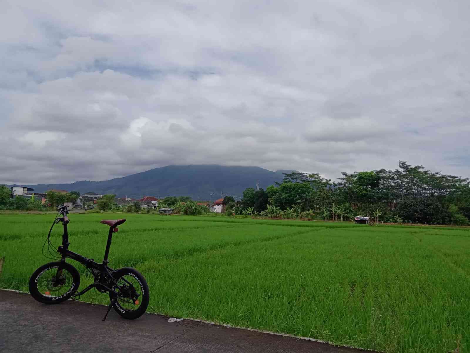 Hamparan Sawah Terbentang di Kelurahan Susukan Ungaran - Sumber : Dokumen Prama R. Putranto