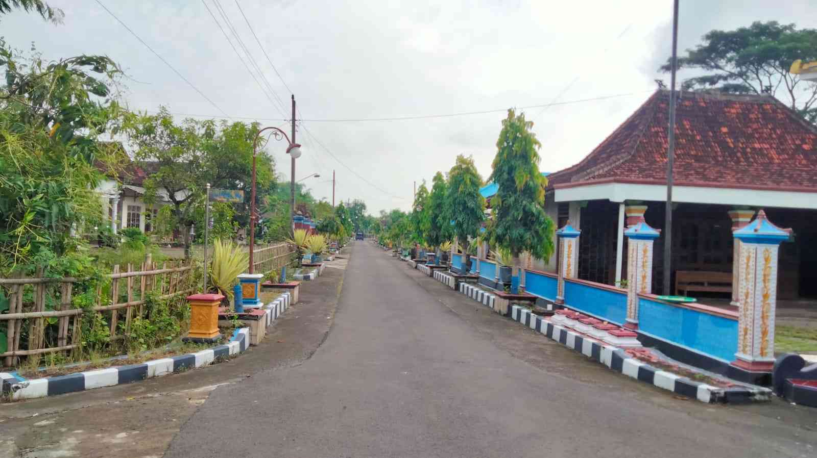 Ilustrasi jalan di kampung halaman (Foto: Dokumentasi Pribadi)