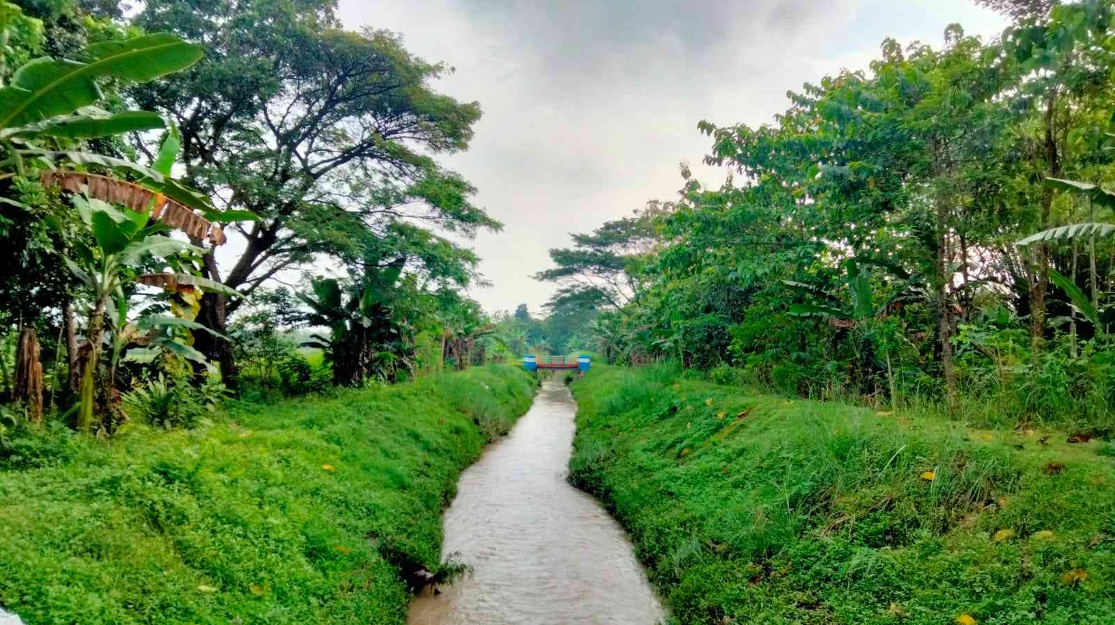 Ilustrasi sungai di kampung halaman yang menyimpan kenangan masa kecil (Foto: Dokumentasi Pribadi) 