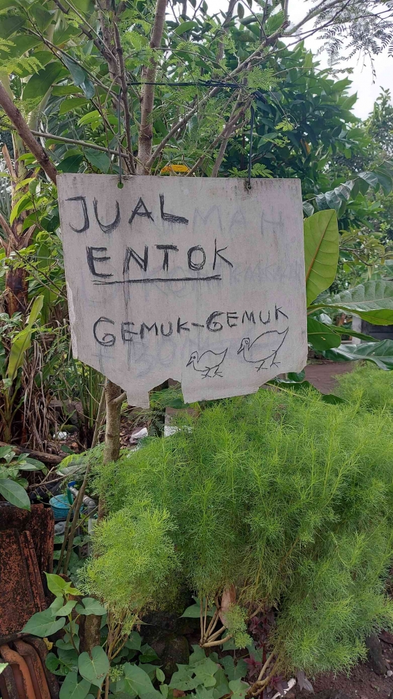 Foto Artikel : Iklan Lucu, Strategi Pemasaran atau Hanya Gimmick ...