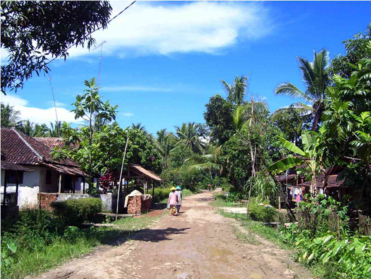 Kampung halaman tercinta. Gambar dari dakwatuna.com