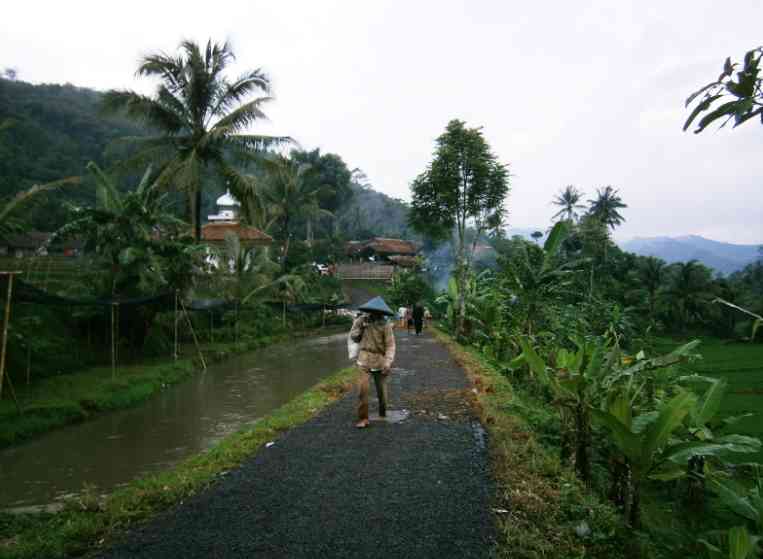 Ilustrasi gambar. Suasana Pedesaan (Sumber: http://desakaliangsana.blogspot.com)