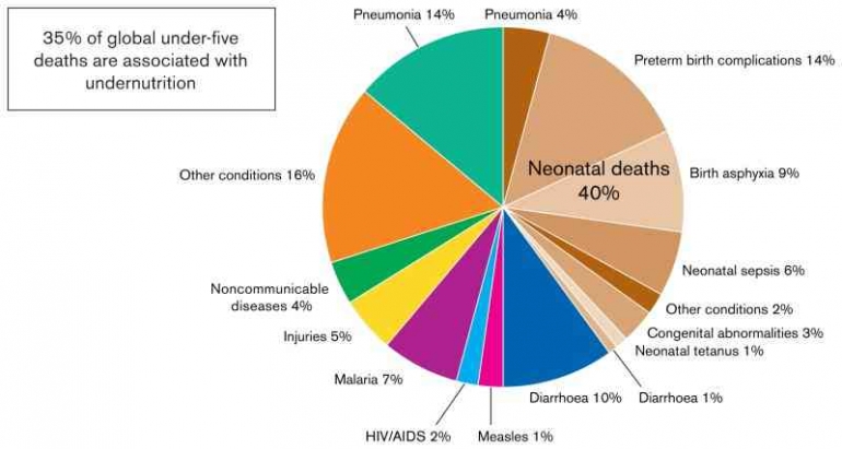 Gambar 1. Distribusi global kematian anak di bawah 5 tahun menurut sebabnya (2010) Sumber : https://www.ncbi.nlm.nih.gov