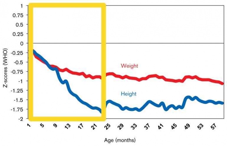 Gambar 2. Waktu terjadinya growth faltering, data dari 54 survei, 1994–2007 Sumber : https://www.ncbi.nlm.nih.gov