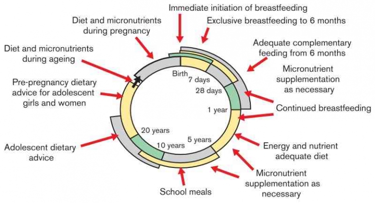 Gambar 3. Memperbaiki nutrisi sepanjang perjalanan hidup Sumber : https://www.ncbi.nlm.nih.gov