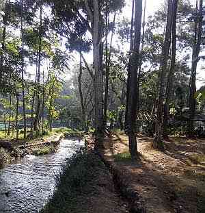 Moga-moga masih banyak daerah hijau seperti ini di Malang Raya (dokpri) 