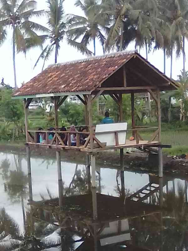 Tempat belajar di atas empang (dokpri)