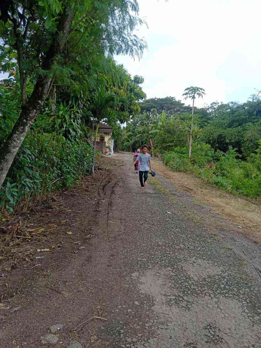 Kampung halaman yang alami (dok. pri).