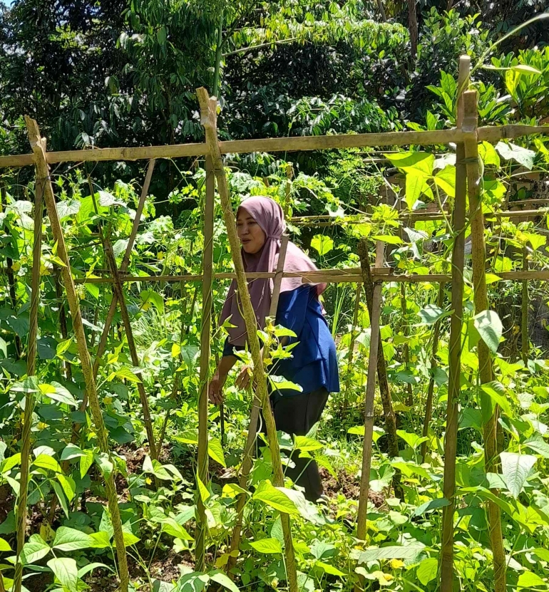 Hartini memanfaatkan lahan di belakang rumah yang tak seberapa untuk bertanam sayuran tujuan dimakan dan dijual (Dokumentasi pribadi)