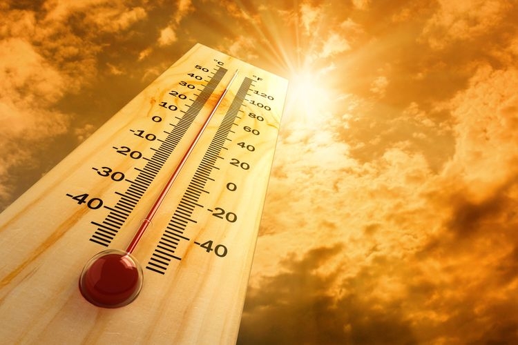 Ilustrasi cuaca panas, heat stroke(Shutterstock/VladisChern)
