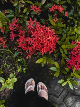 Ilustrasi sandal kesayangan | Photo by Anjali Paarol