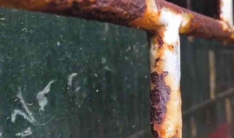 Inilah Tempat Penuh Misteri di Citeureup Bogor yang Sudah Ditelan Zaman