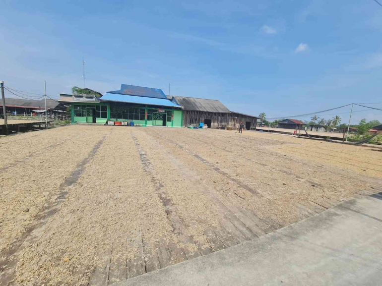 Belacan yang dijemur (dokumentasi pribadi)