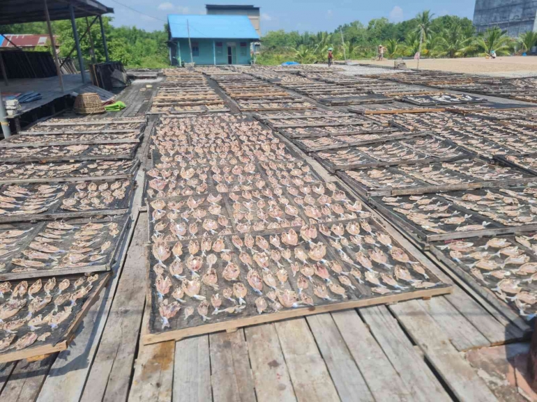 Ikan Asin (dokumentasi pribadi)