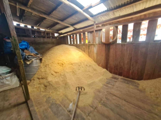 Pelet Ikan (dokumentasi pribadi)