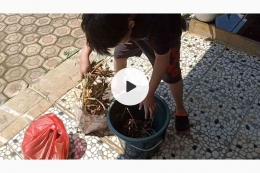 Membuat project sekolah berupa video proses pembuatan kompos (sumber: widikurniawan)