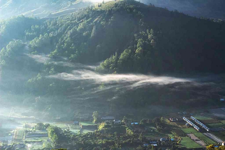 Area Kaki Gunung Batur| Sumber: darwinarya