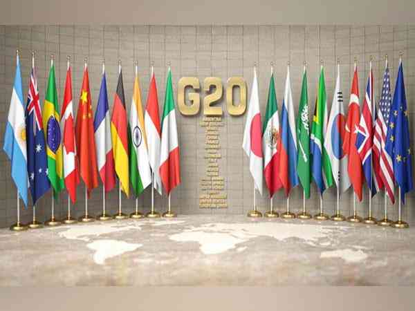 Bendera-bendera anggota G20. | Sumber: ANI