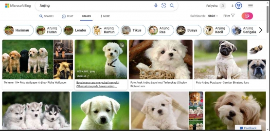 Kueri di Google Penelusuran untuk