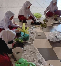 Anak-anak praktik mempelajari materi IPA bagian-bagian tumbuhan dengan bersentuhan langsung dengan tanah di Kurikulum Merdeka (sumber:dokpri)