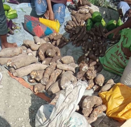 Dagangan ubi kayu atau singkong di pasar Niki-Niki, NTT. Gambar: dokumentasi Imanuel Lopis.