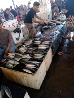 Ikan segar di TPI Labuang, dokpri 
