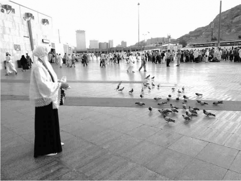 Istri penulis memberikan makan kepada Merpati Nabi di halaman Masjidil Haram Makkah, saat melaksanakan ibadah haji 2016 silam (foto : dokpri)