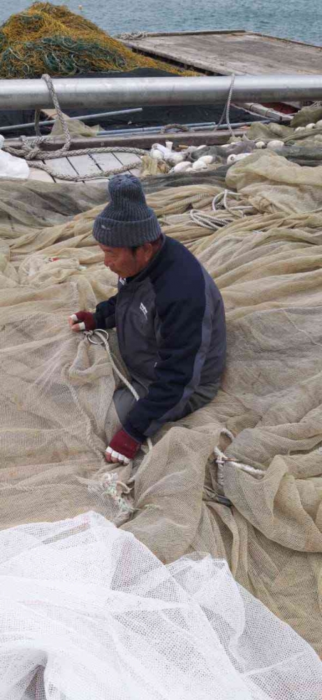 Gambar Haraboji ( kakek ) sedang menjarum jaring ( sumber; doc. foto pribadi Muheli Rofik )
