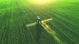Pertanian berkelanjutan: Inovasi dan kerjasama menuju masa depan yang lebih baik. | Foto : blog.bizvibe.com