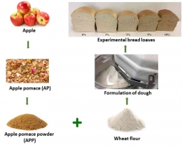 Gambar 2. Ilustrasi Penambahan  Apple Pomace sebagai bahan pembuatan Sourdough (Valkoka dkk., 2022)