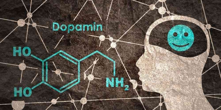 https://norwegianscitechnews.com/wp-content/uploads/2021/06/dopamin-1-illustrasjon-shutterstock-ntb-1000x500.jpg