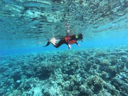 Snorkeling di Pulau Wangi-Wangi, Wakatobi (Dokumentasi Pribadi)