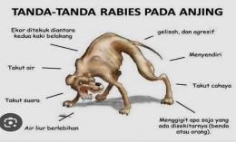 Ini tanda-tanda rabies pada anjing (dok foto: florespos.net)