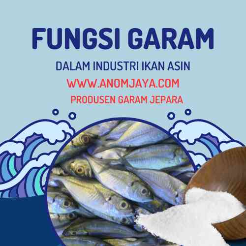 Fungsi Garam Untuk Industri Ikan asin | Foto by Anom Jaya