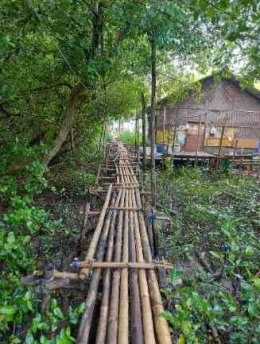 Pemukiman warga di ujung kampung Beting yang berjarak sangat dekat dengan Laut ditumbuhi banyak tanaman manggrove
