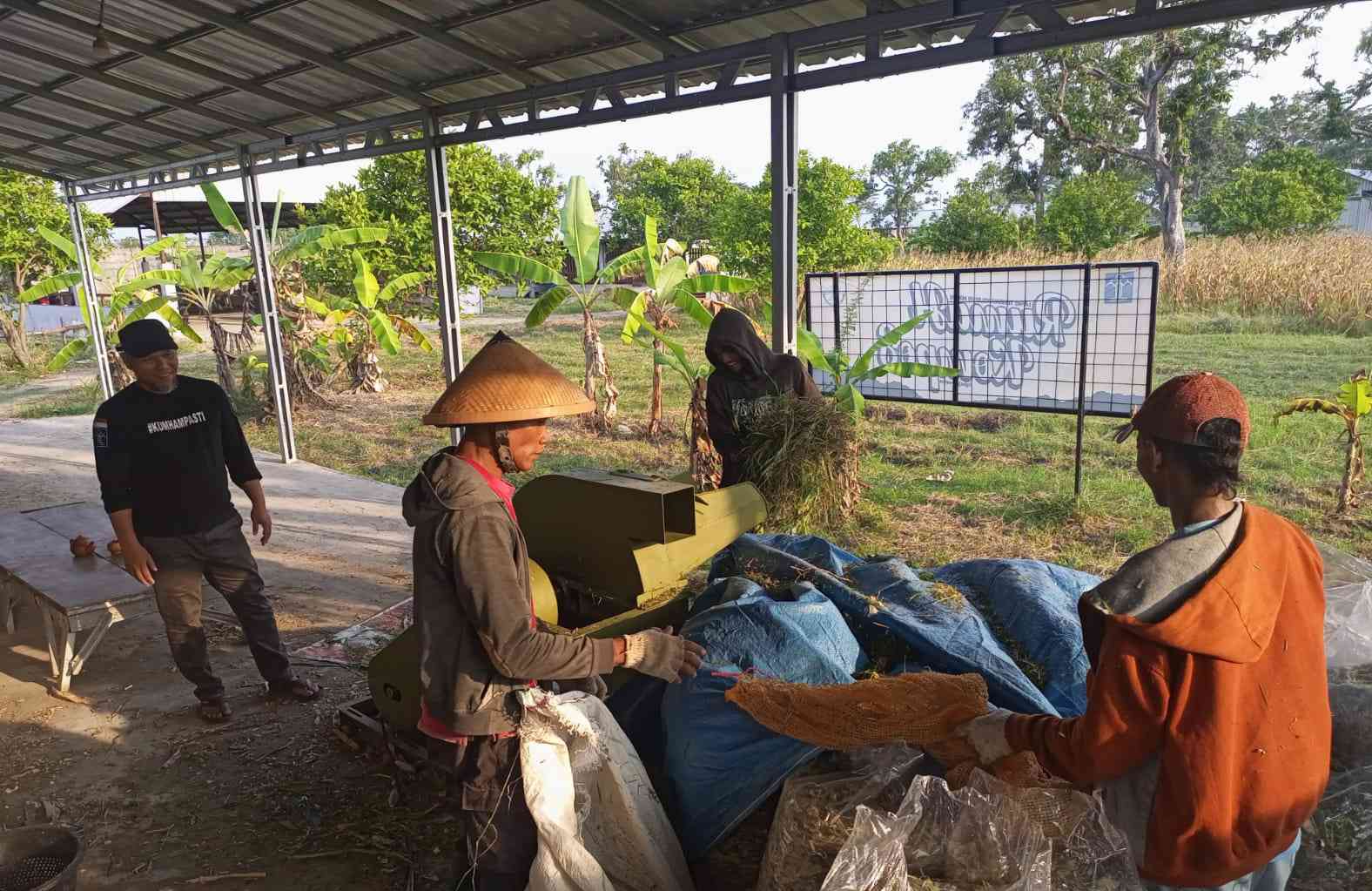 Sukses Uji Coba, Tebon Jagung Chopper Inovasi Lapas Terbuka Kendal Siap ...