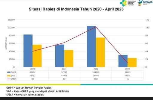 Tingkat Rabies Perlunya Ketersediaan Vaksinasi Rabies saat Maraknya Penyakit Rabies ...