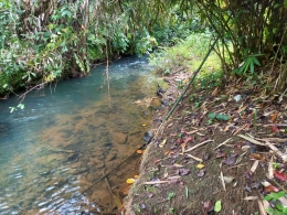 Sungai di Malinau (Sumber: Dok. Penulis).