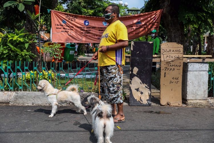 Petugas Suku Dinas Ketahanan Pangan, Kelautan, dan Pertanian Provinsi DKI Jakarta melaksanakan program vaksin rabies (KOMPAS.com/GARRY LOTULUNG)